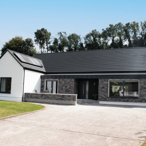 Ireland 2024 Case Study