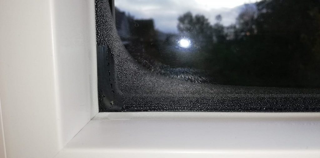 Condensation on Window