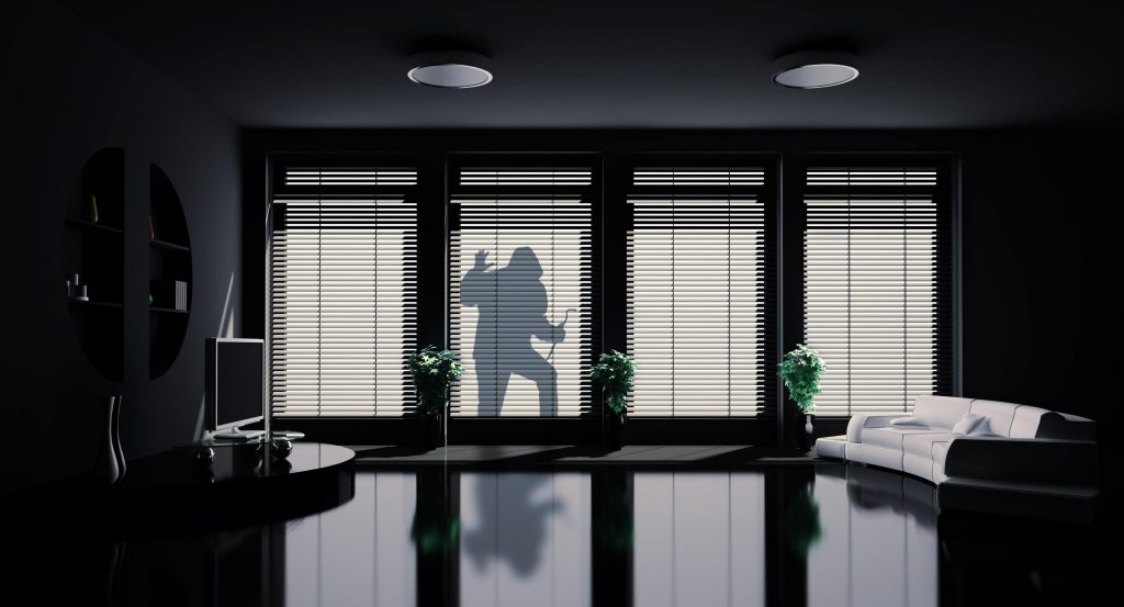 Burglary Silhouette 